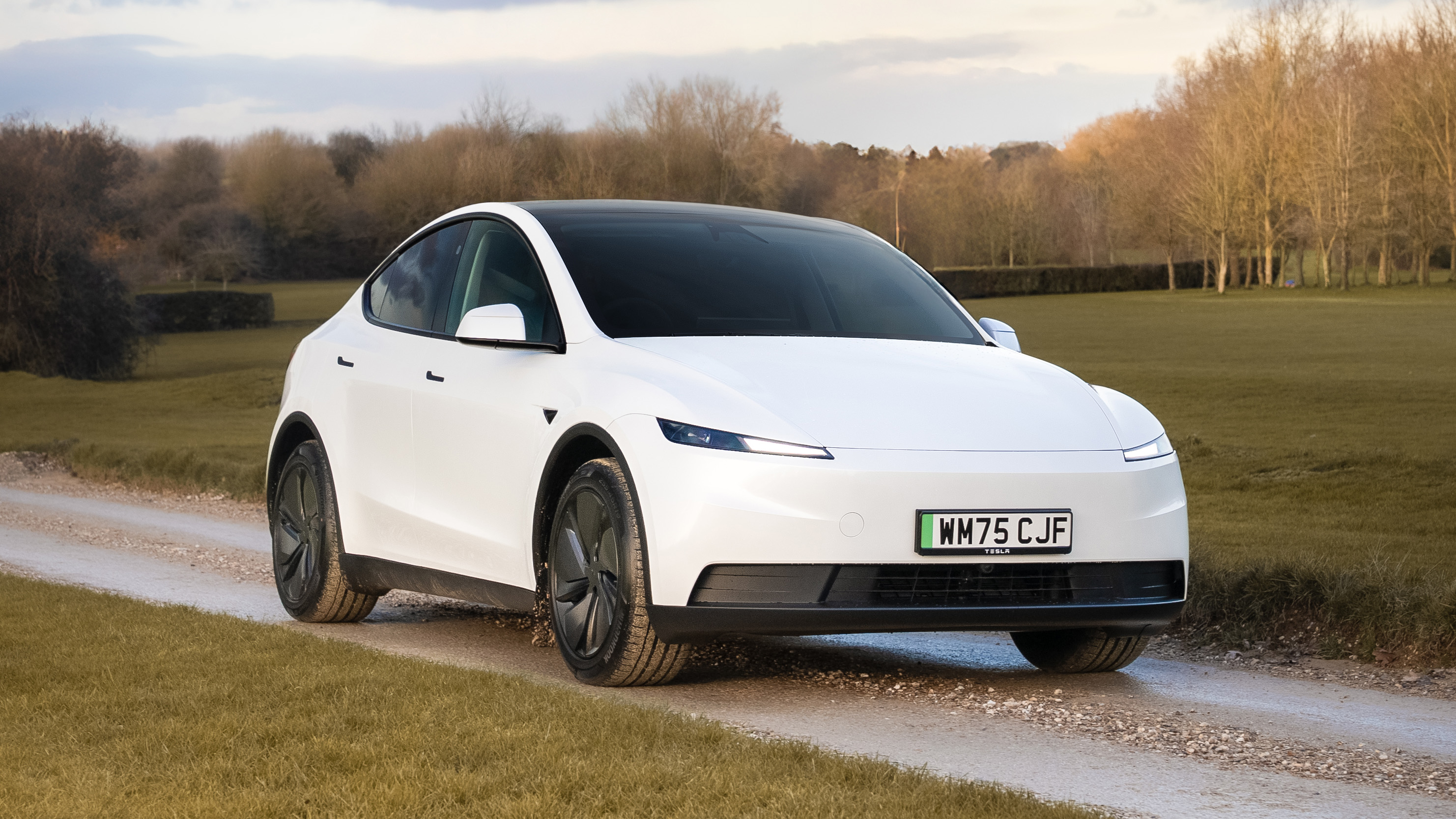 惠州特斯拉 Model Y 车主看过来：加 DSP 到底有什么用，原车怎么优化？